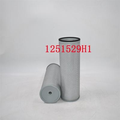 1251529H1 Air Filter