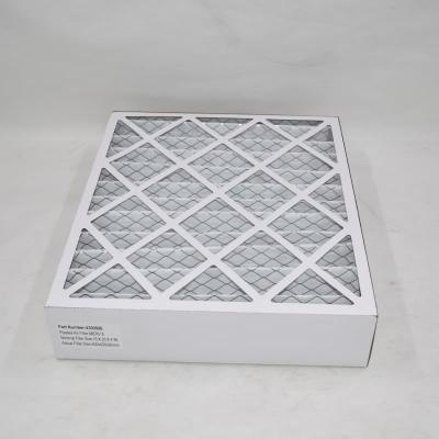 Pleated Air Filter 4300506